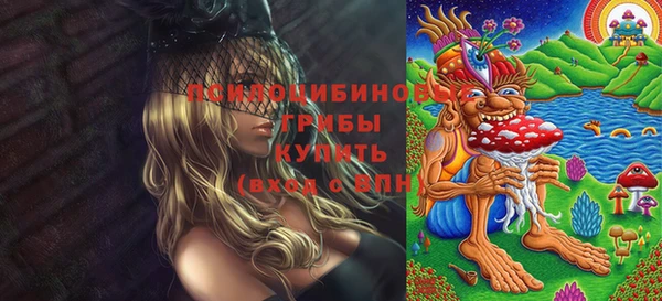 ПСИЛОЦИБИНОВЫЕ ГРИБЫ Инсар