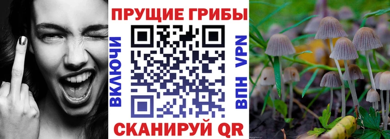 Галлюциногенные грибы Magic Shrooms  Рошаль 